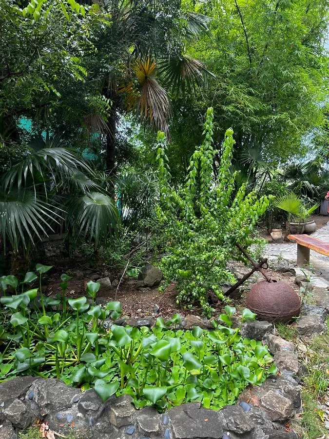 Nazareth Tillett Gardens Guest House & Hostel